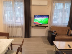 Comfortable flat near beach